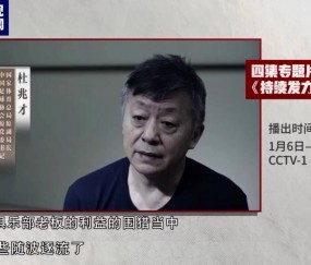 九游娱乐有期徒刑14年！杜兆才：俱乐部老板利益围猎中，有些随波逐流了