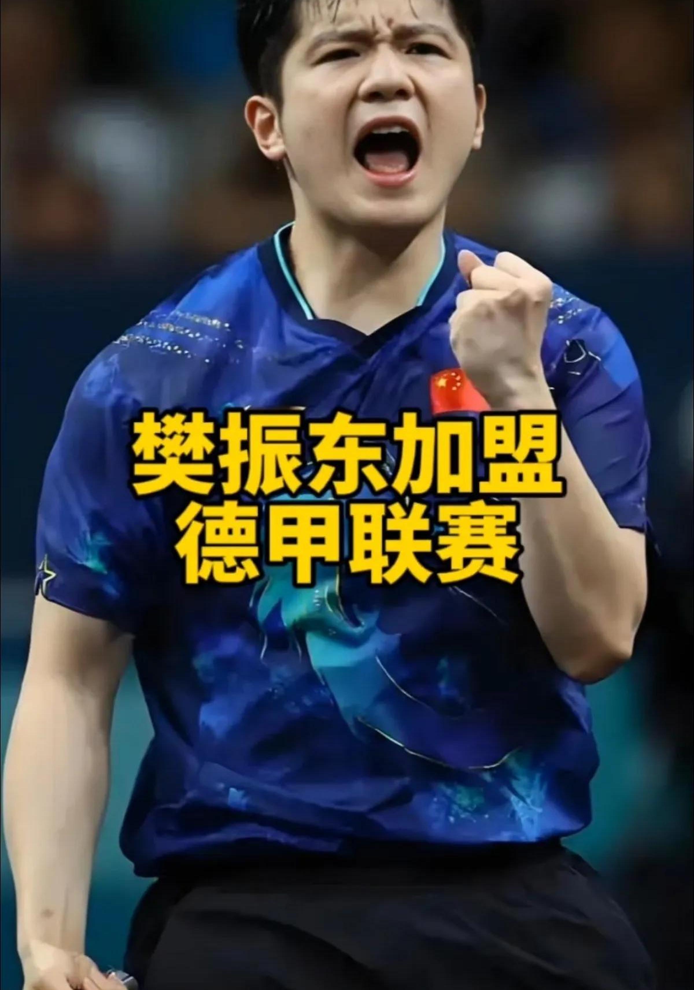 樊振东确认德甲首秀时间，球迷期待所向披靡的表现(樊振东与德国比赛)